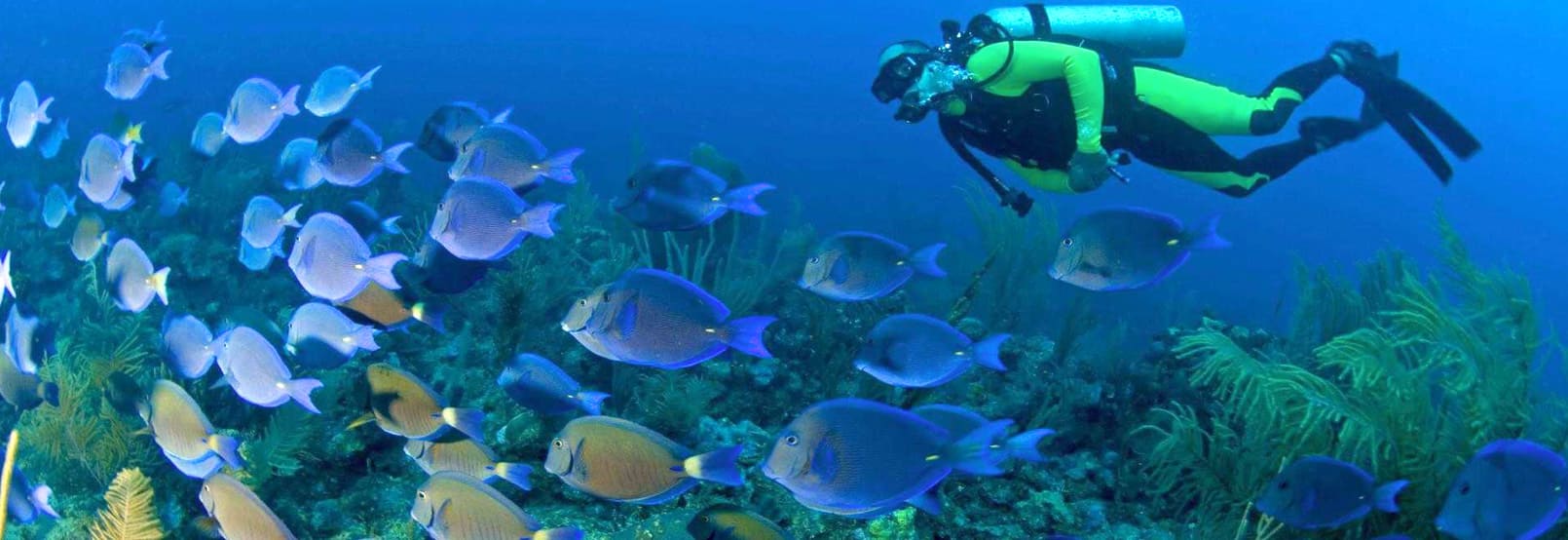 Aventura y Ecoturismo en costalegre